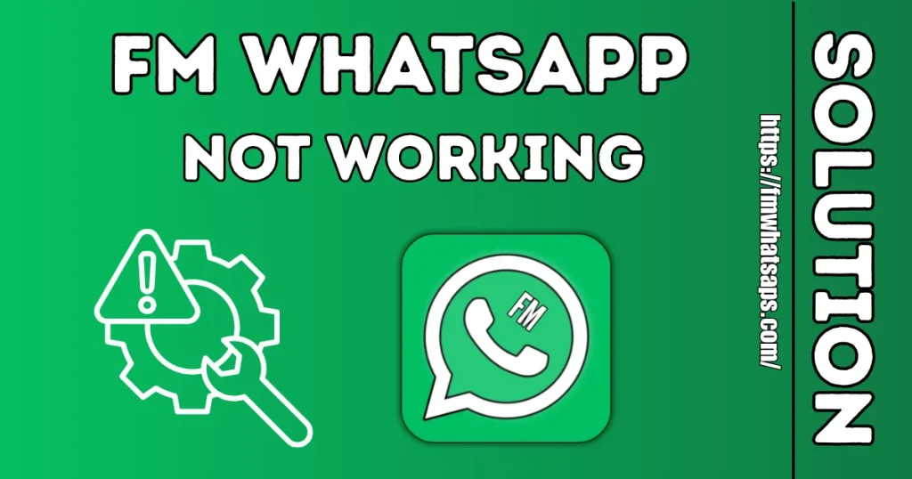 FM WhatsApp APK Solution